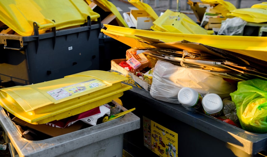 Clean Bin for the Win